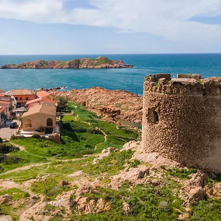 Della Torre